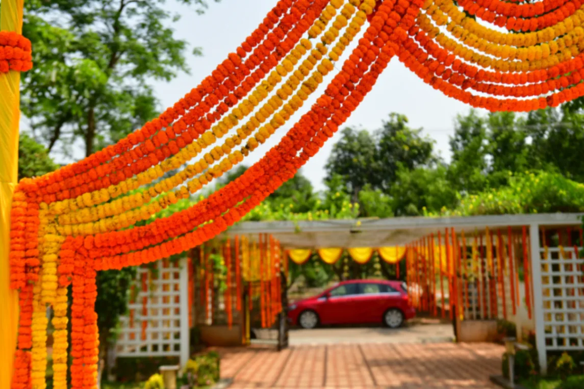 Colorful marigold decorations